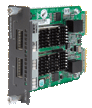 2-Port 10-Gigabit Module (XFP)