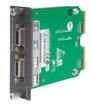 2-Port 10 Gigabit Local Connection Module
