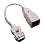 EtherLink III PC Card LAN TP Cable