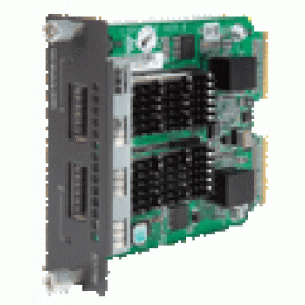 2-Port 10-Gigabit Module (XFP)