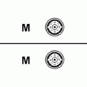 15-FT Coax Cables DS3 - Quantity 2 Network Cable