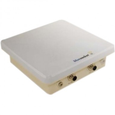 BlueSecure BSAP-1600 IEEE 802.11a/b/g 54 Mbps Outdoor Wireless Access Point