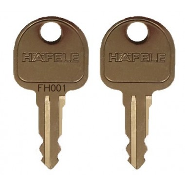 Kit Keys (2) for NTS CX Enclosure