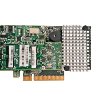 LSI MEGARAID SAS RAID Controller