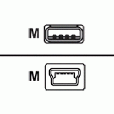 6FT Cable Cons with USB Type-A and Mini-B Data Transfer