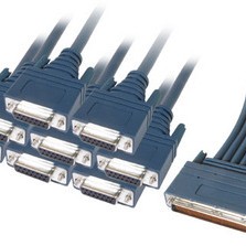 8 Lead Octal Cable and 8 Female X21 DCE