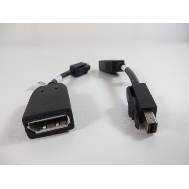 Converter Cable Mini Display to Female DisplayPort Dongle
