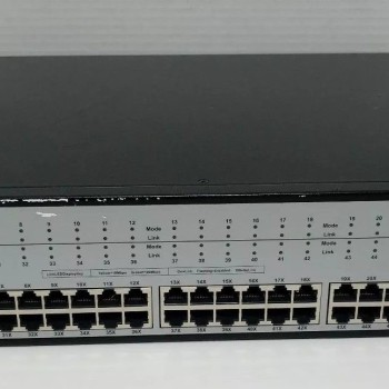 Vertical Horizon, 48-Port Fast Ethernet Switch