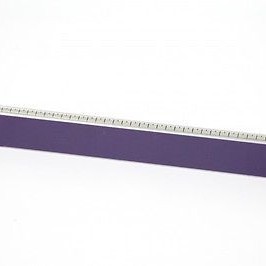 Blank Panel for BlackDiamond 8800 and 12800 Switches Blank Panel for BlackDiamond 8800 and 12800 Switches