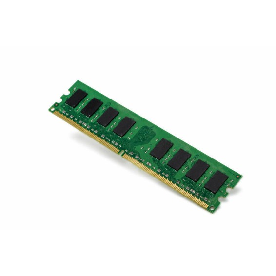 IBM 00D4976 Server RAM Memory, DDR2, 2GB 667MHz