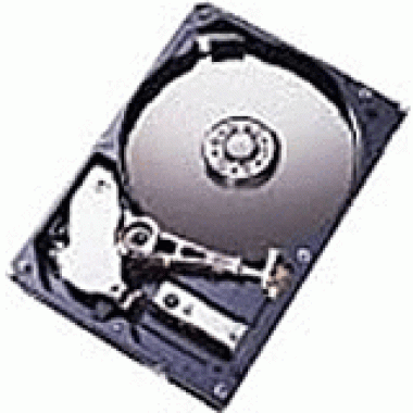 146GB 15K 6GB/s 2.5in SAS Hard Disk Drive, 49Y1932