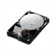 IBM 81Y9786 500 GB 3.5 Hard Drive - Internal SATA 7200 RPM 3.5-Inch 6Gbps NL G2hs Hard Disk Drive