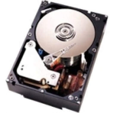 1TB SATA 7200 RPM 3.5-Inch 6Gbps NL G2hs Hard Disk Drive