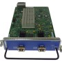 2 x 10Gb XFP Ethernet I/O Card