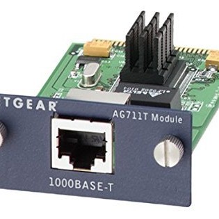 1000Base-T Copper Gigabit Switch Module