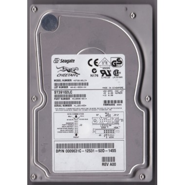 9.1 Gigabit Hard Drive