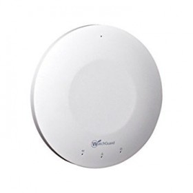 Ap100 Wap 3y Live Security Wireless Access Point