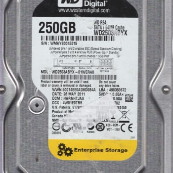 250GB 7200 RPM 64MB Cache SATA 3.0Gb/s 3.5-Inch SATA Internal Enterprise Hard Drive Bare Drive