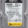 250GB 7200 RPM 64MB Cache SATA 3.0Gb/s 3.5-Inch SATA Internal Enterprise Hard Drive Bare Drive