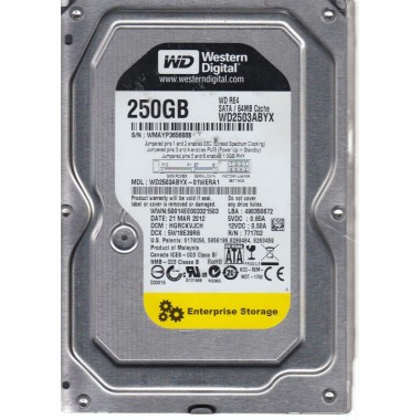 250GB WD RE4 SATA/64MB Cache SATA Hard Drive HDD 3.5-Inch 7200RPM