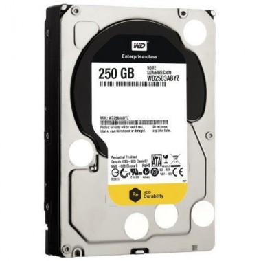 250GB Re SATA 7200 RPM 64MB 3.5-Inch 6gb/s HDD Hard Disk Drive